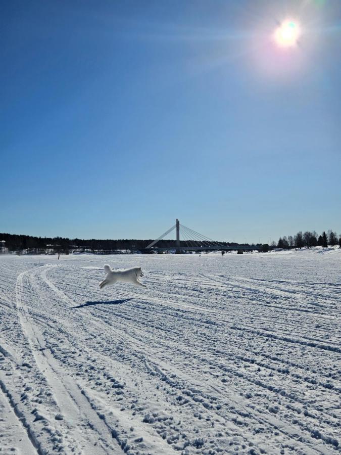 Make Yourself At Home Rovaniemi Exteriér fotografie