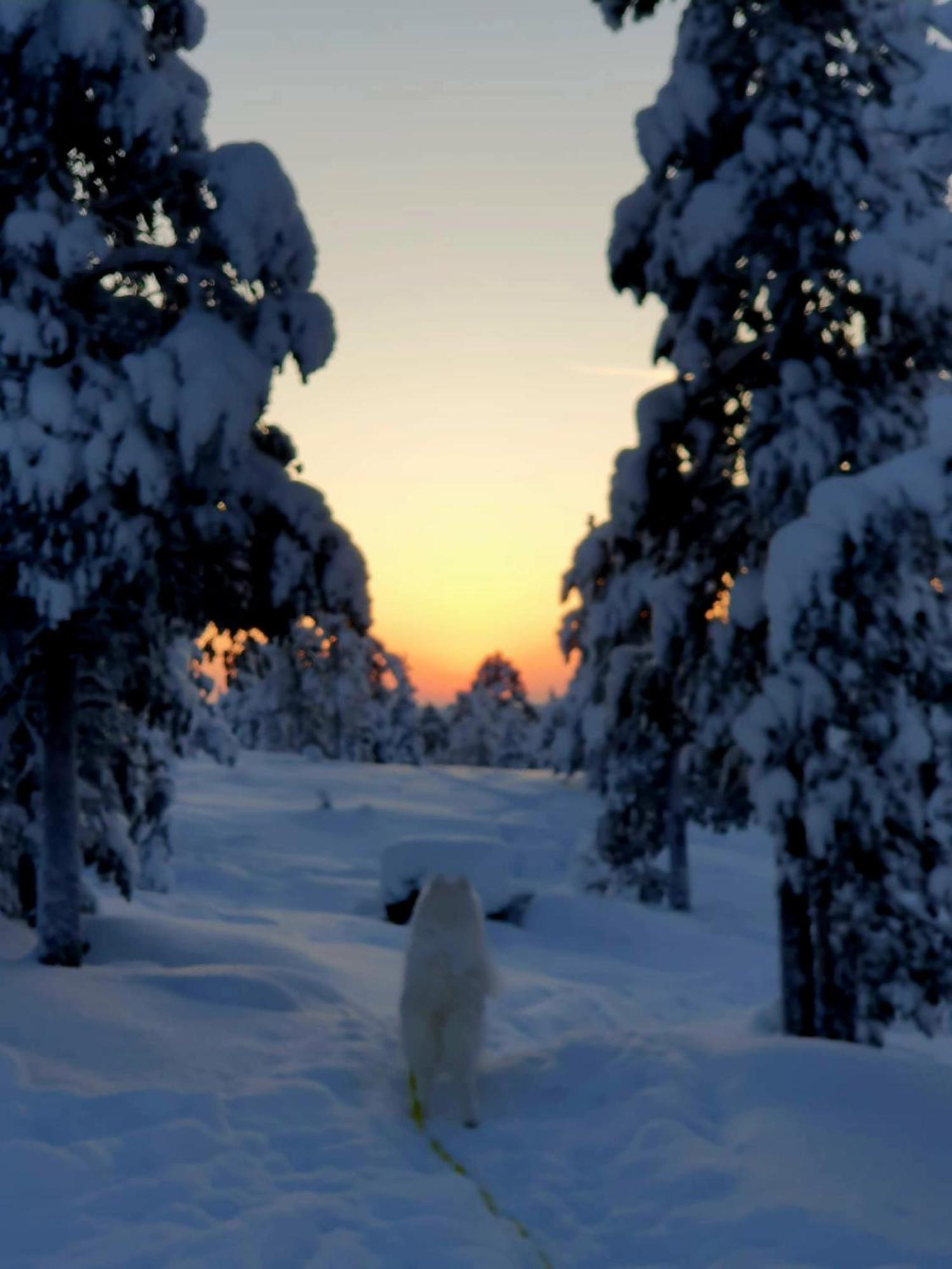 Make Yourself At Home Rovaniemi Exteriér fotografie